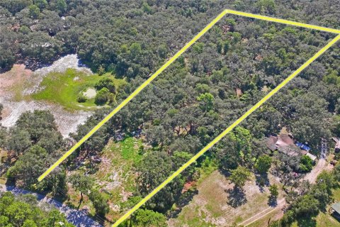 Land in Spring Hill, Florida № 1908826 - photo 6