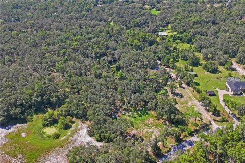 Land in Spring Hill, Florida № 1908826 - photo 7