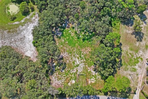 Land in Spring Hill, Florida № 1908826 - photo 5