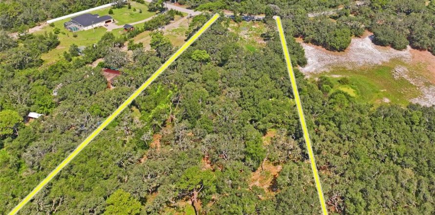 Terreno en Spring Hill, Florida № 1908826