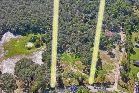 Land in Spring Hill, Florida № 1908826 - photo 3