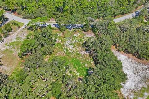 Land in Spring Hill, Florida № 1908826 - photo 11