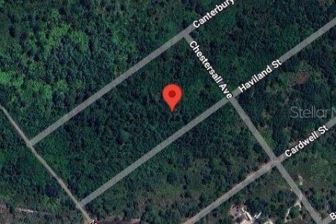 Land in Lake Placid, Florida № 2163423 - photo 6