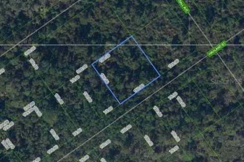 Land in Lake Placid, Florida № 2163423