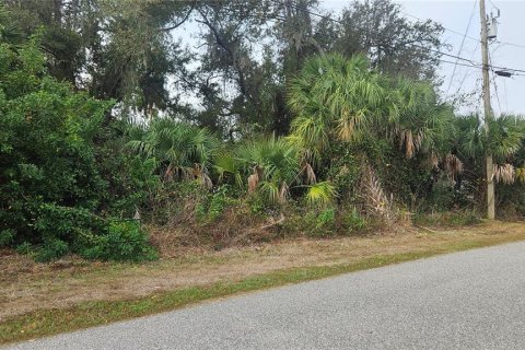 Land in North Port, Florida № 2234887 - photo 5