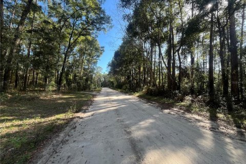 Terrain à vendre à Crawfordville, Floride № 1798538 - photo 4