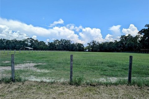 Casa en venta en Dunnellon, Florida, 6 dormitorios, 298.03 m2 № 1919034 - foto 12