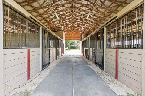 Villa ou maison à vendre à Dunnellon, Floride: 6 chambres, 298.03 m2 № 1919034 - photo 6