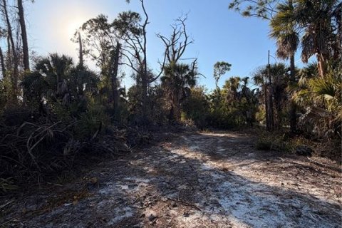 Land in Englewood, Florida № 2158804 - photo 7