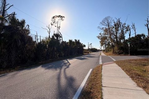 Land in Englewood, Florida № 2158804 - photo 6