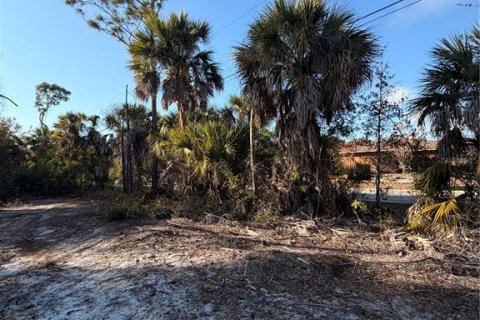 Land in Englewood, Florida № 2158804 - photo 8