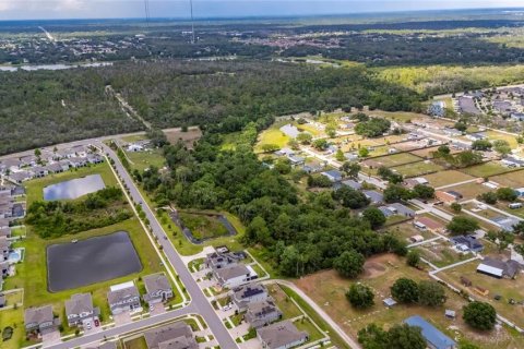 Land in Riverview, Florida № 2219518 - photo 5