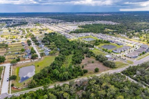 Land in Riverview, Florida № 2219518 - photo 2