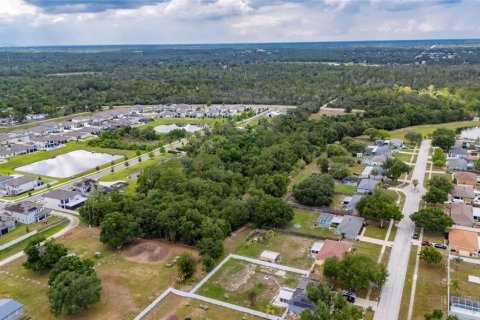 Land in Riverview, Florida № 2219518 - photo 6