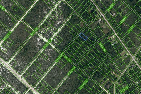 Land in Lake Placid, Florida № 2224067