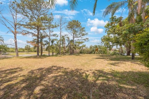 Land in Tarpon Springs, Florida № 1681182 - photo 14