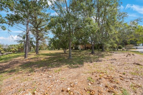 Land in Tarpon Springs, Florida № 1681182 - photo 26