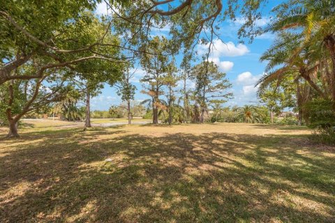 Land in Tarpon Springs, Florida № 1681182 - photo 4