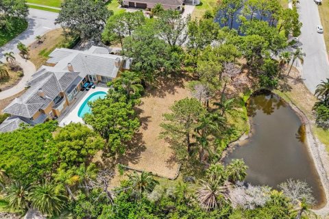 Land in Tarpon Springs, Florida № 1681182 - photo 24