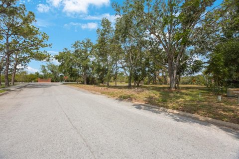 Land in Tarpon Springs, Florida № 1681182 - photo 15