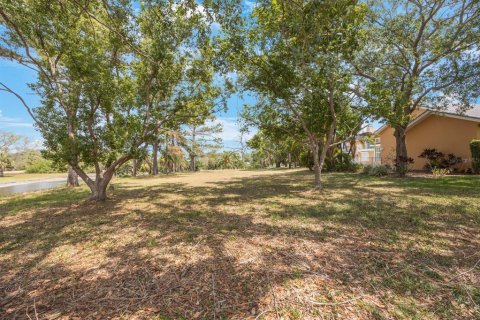 Land in Tarpon Springs, Florida № 1681182 - photo 12