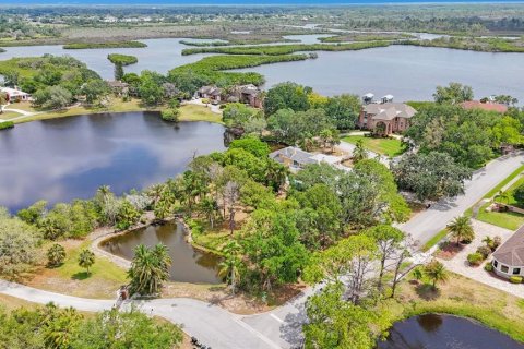 Land in Tarpon Springs, Florida № 1681182 - photo 10