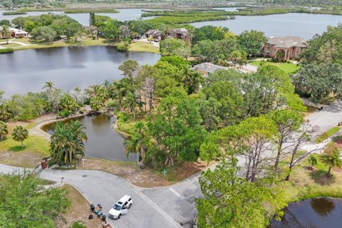 Land in Tarpon Springs, Florida № 1681182 - photo 9