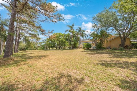 Land in Tarpon Springs, Florida № 1681182 - photo 19