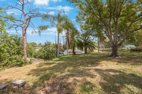 Land in Tarpon Springs, Florida № 1681182 - photo 16