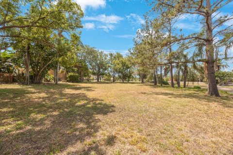 Land in Tarpon Springs, Florida № 1681182 - photo 17