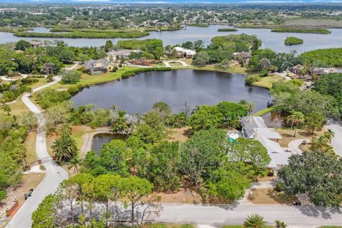 Land in Tarpon Springs, Florida № 1681182 - photo 20