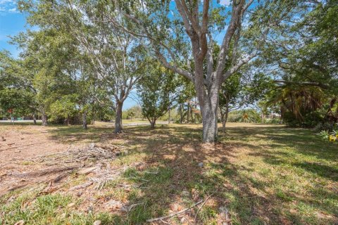 Land in Tarpon Springs, Florida № 1681182 - photo 13