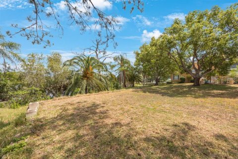 Land in Tarpon Springs, Florida № 1681182 - photo 18