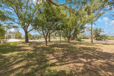 Land in Tarpon Springs, Florida № 1681182 - photo 5