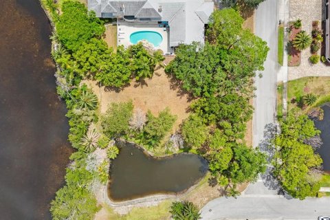 Land in Tarpon Springs, Florida № 1681182 - photo 1