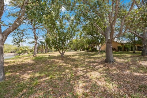 Land in Tarpon Springs, Florida № 1681182 - photo 7