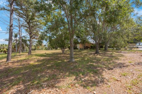 Land in Tarpon Springs, Florida № 1681182 - photo 6