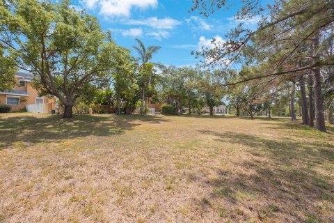 Land in Tarpon Springs, Florida № 1681182 - photo 11