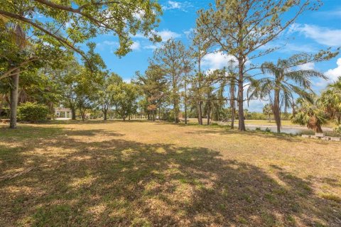 Land in Tarpon Springs, Florida № 1681182 - photo 2