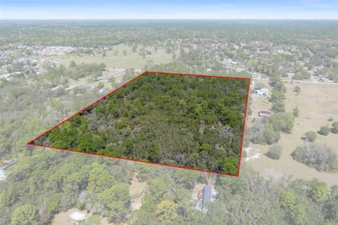 Land in Homosassa, Florida № 1628505 - photo 9