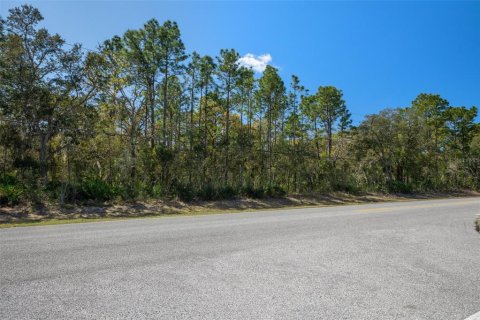 Land in Homosassa, Florida № 1628505 - photo 15