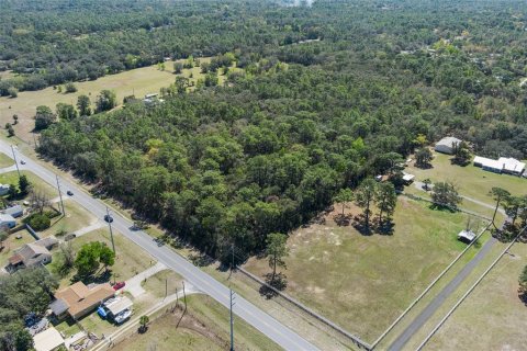 Land in Homosassa, Florida № 1628505 - photo 4