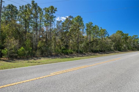 Land in Homosassa, Florida № 1628505 - photo 16