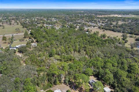 Land in Homosassa, Florida № 1628505 - photo 14