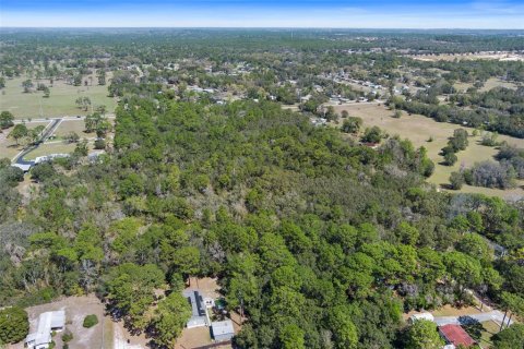 Land in Homosassa, Florida № 1628505 - photo 13