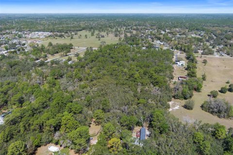 Land in Homosassa, Florida № 1628505 - photo 10