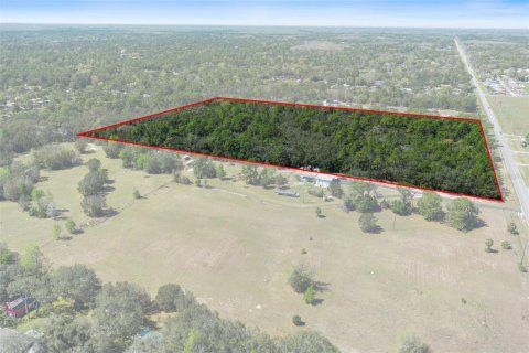 Land in Homosassa, Florida № 1628505 - photo 7