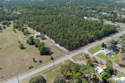Land in Homosassa, Florida № 1628505 - photo 6