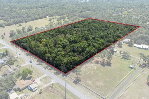 Land in Homosassa, Florida № 1628505 - photo 3