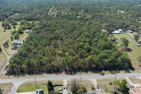Land in Homosassa, Florida № 1628505 - photo 1